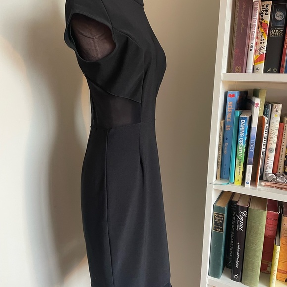 Bodycon Dress with Fine Mesh Details - Picture 7 of 12